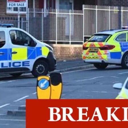 Incident de Plymouth: un député local dit "un jour sombre pour notre ville" comme un "coup de feu"