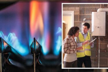 Interdiction des chaudières à gaz au Royaume-Uni : EXPERT partage tout ce que vous devez savoir sur les amendes, les coûts et les avantages
