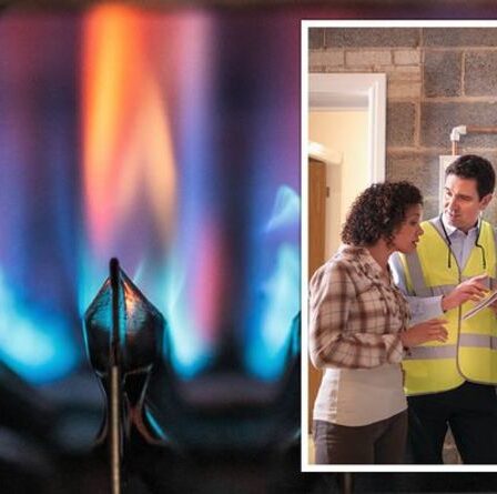 Interdiction des chaudières à gaz au Royaume-Uni : EXPERT partage tout ce que vous devez savoir sur les amendes, les coûts et les avantages