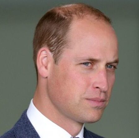 Interdisez-le ! Le prince William a appelé à mettre fin au tournage de tétras « malades » après le retard de la tradition de Balmoral