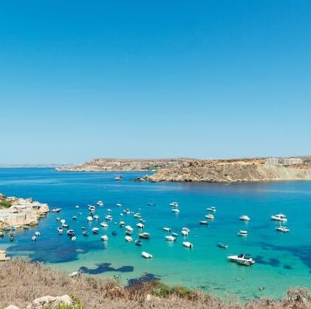 "Interdit par la loi": les Britanniques ne peuvent pas entrer dans certains pays de la liste verte - conditions d'entrée