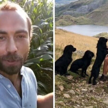 James Middleton donne un aperçu de vacances passionnantes avec ses chiens dans un nouveau post Instagram