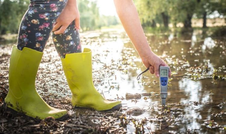 Jardinage : Comment éviter les inondations grâce à ces conseils simples pour réduire les niveaux d'eau