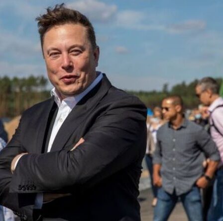 "Je le dis depuis un moment" - Elon Musk dit que Dogecoin est la crypto-monnaie la plus puissante
