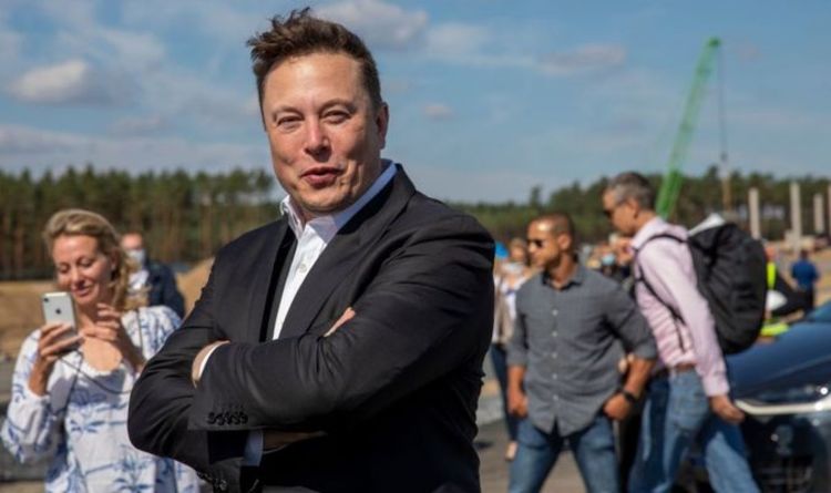 "Je le dis depuis un moment" - Elon Musk dit que Dogecoin est la crypto-monnaie la plus puissante