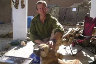 "Je ne les laisse pas derrière" Un ex-marine fait pour abattre des chiens alors que les talibans se rapprochent