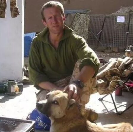 "Je ne les laisse pas derrière" Un ex-marine fait pour abattre des chiens alors que les talibans se rapprochent