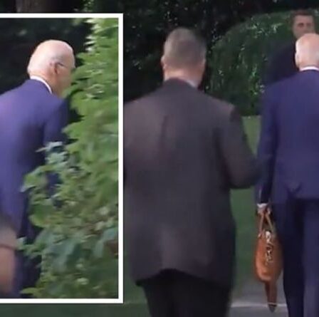 Joe Biden « s'est perdu dans les buissons » alors que le président américain rentre à la Maison Blanche – VIDEO