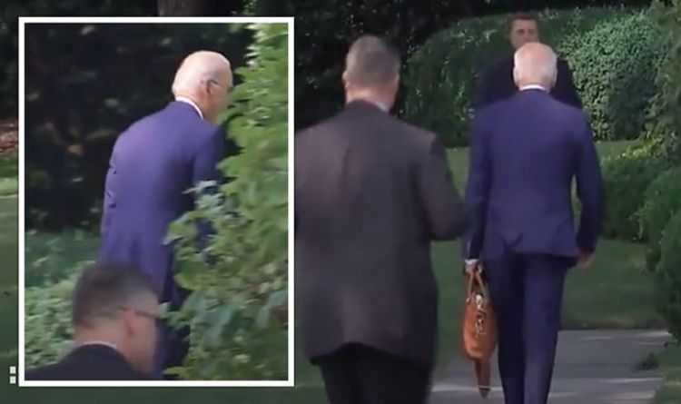 Joe Biden « s'est perdu dans les buissons » alors que le président américain rentre à la Maison Blanche – VIDEO