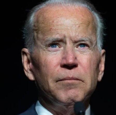 « Joe fou ! »  Un républicain lance une attaque furieuse de Biden contre un programme "maléfique" et "sinistre"