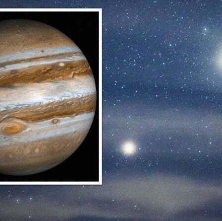 Jupiter en opposition : repérez la plus grosse planète du système solaire à l'œil nu ce soir