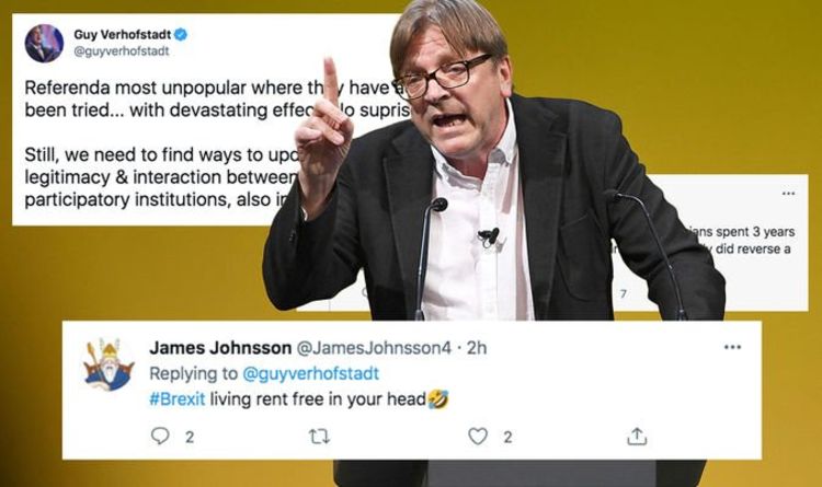 « Juste parce que vous avez perdu ! »  Verhofstadt fustigé sur Twitter après son dernier empannage sur le Brexit