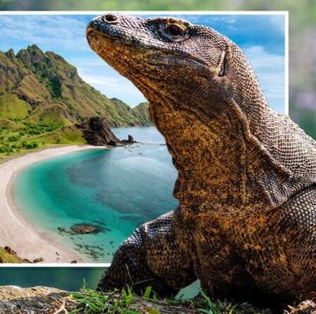 L'Indonésie s'apprête à ouvrir une attraction « Jurassic Park » de 3,5 millions de livres sterling malgré les avertissements