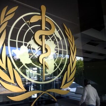 L'OMS frappe ! Exige des données de «tous les pays, y compris la Chine» à l'origine de la recherche de Covid