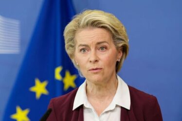 L'UE au bord du gouffre après que l'économiste a prédit que le bloc "déclencherait des troubles sociaux" à travers l'Europe
