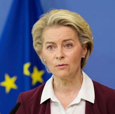 L'UE au bord du gouffre après que l'économiste a prédit que le bloc "déclencherait des troubles sociaux" à travers l'Europe