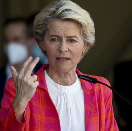 L'UE en guerre contre elle-même ?  Le Parlement décide de poursuivre von der Leyen en justice dans le chaos bruxellois