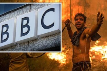 La BBC a critiqué un "rapport dévastateur" sur les incendies de forêt en Grèce: "C'est allé en descente rapidement"