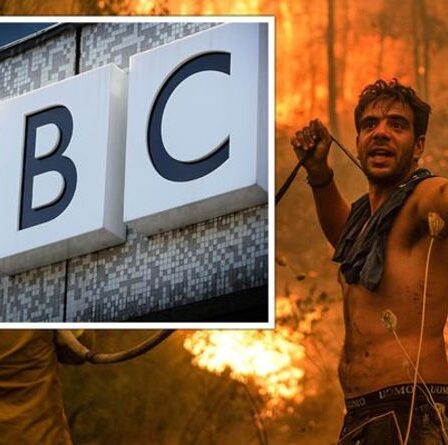 La BBC a critiqué un "rapport dévastateur" sur les incendies de forêt en Grèce: "C'est allé en descente rapidement"