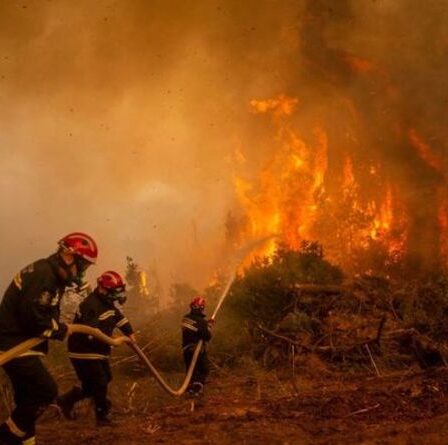La Grèce fait face à la révolte des évacués alors que la pénurie de pompiers frappe au milieu d'un incendie dévastateur