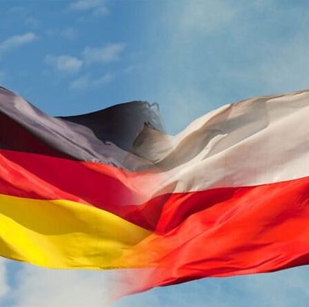 La Pologne s'en prend à l'Allemagne : pourquoi Varsovie fait sourciller avec ses critiques