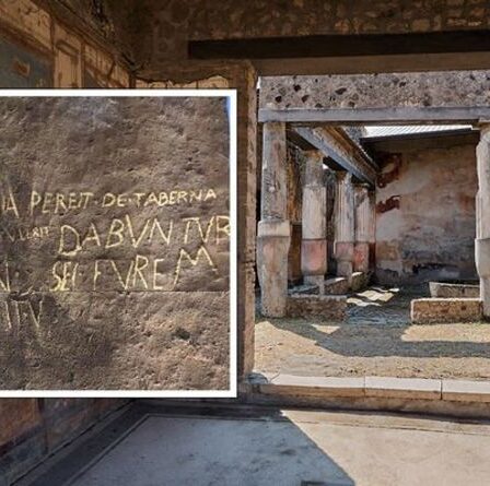 La brutalité de Pompéi en tant que «punition de vigilance» sévit dans la ville avant une éruption dévastatrice