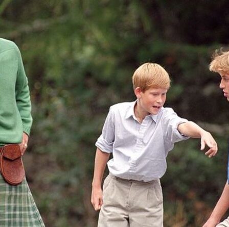La décision de la reine de garder Harry et William à Balmoral "a du sens" loin des médias