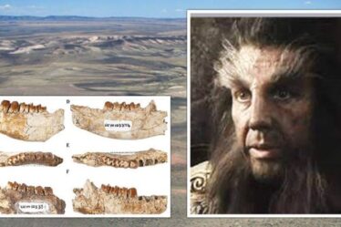 La découverte d'une créature préhistorique 'hobbit' montre une évolution étonnante après l'extinction des dinosaures