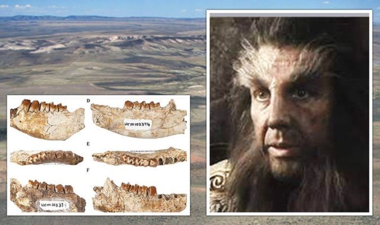 La découverte d'une créature préhistorique 'hobbit' montre une évolution étonnante après l'extinction des dinosaures