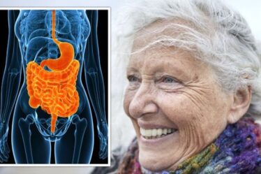 La découverte « époustouflante » des scientifiques lie la santé intestinale au renversement de l'âge