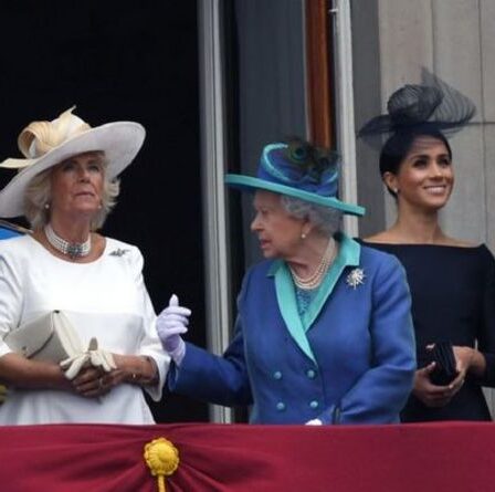 La famille royale a été « intimidée » par le « buzz » sur Meghan Markle « Je voulais qu'elle sorte !