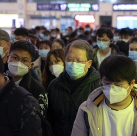 La fuite de Covid du laboratoire de Wuhan est une théorie «probable», selon le chef de l'enquête de l'OMS