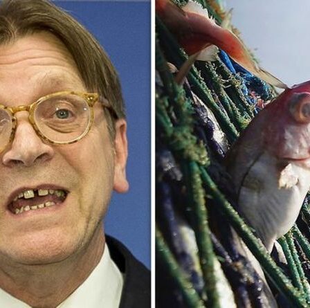 La fureur de la pêche au Brexit après que le Parlement européen a fait une demande "sans précédent"