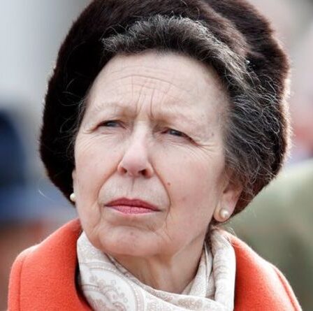 La princesse Anne « bien connectée » « clouée » pour l'ancien rôle du prince Harry – « Point faible »