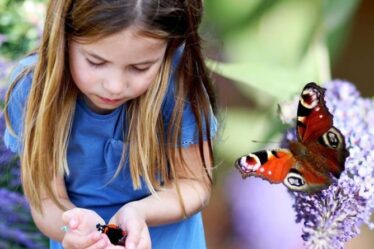 La princesse Charlotte vole la vedette dans une nouvelle photo de papillon mignonne de maman Kate pour un événement spécial