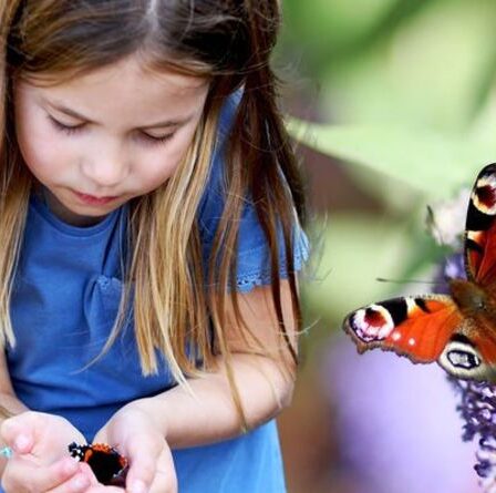 La princesse Charlotte vole la vedette dans une nouvelle photo de papillon mignonne de maman Kate pour un événement spécial