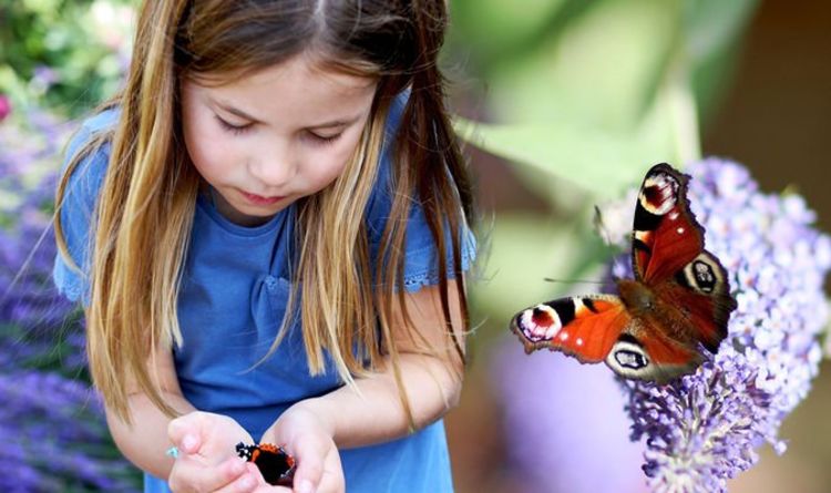 La princesse Charlotte vole la vedette dans une nouvelle photo de papillon mignonne de maman Kate pour un événement spécial