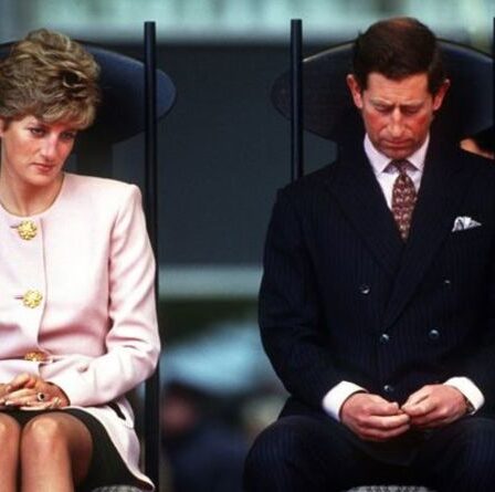 La princesse Diana savait qu'une "tragédie" l'attendait après un "réveil brutal" lorsqu'elle rejoignit la famille royale
