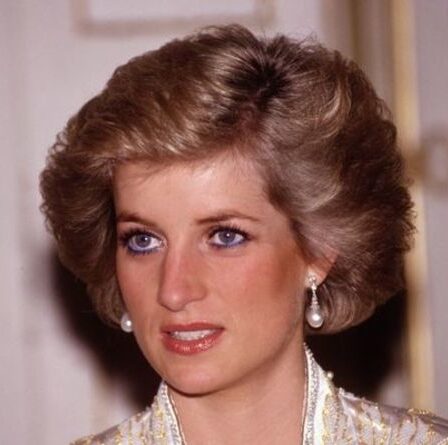 La reine a `` rattrapé son erreur '' après la mort de la princesse Diana avec un arc aux funérailles