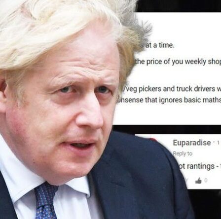 'La vérité!'  Les Britanniques font rage contre les mythes de Remainer alors qu'un économiste de premier plan rejette les allégations du Brexit pour les poids lourds