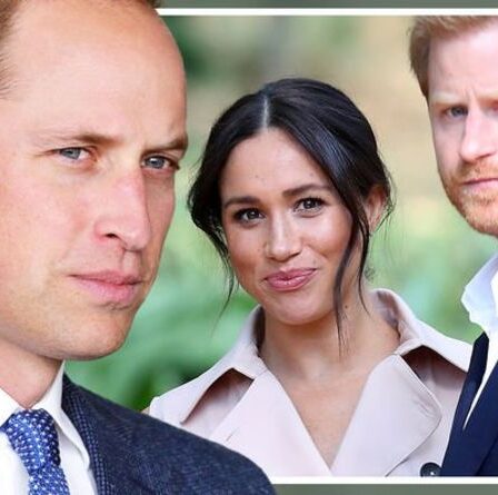 L'accord Netflix du prince Harry et Meghan Markle risque de se disputer: "Ne parlez plus jamais à William"