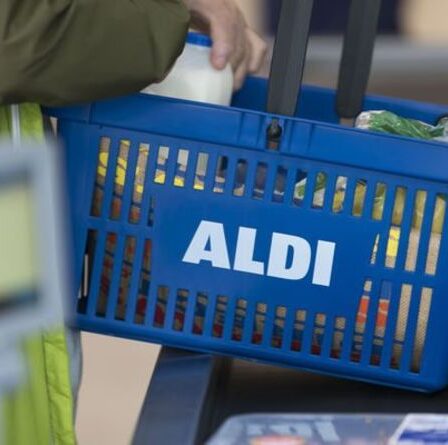 L'acheteur d'Aldi partage une astuce géniale pour emballer des sacs plus rapidement : "Pourquoi n'y ai-je pas pensé !"