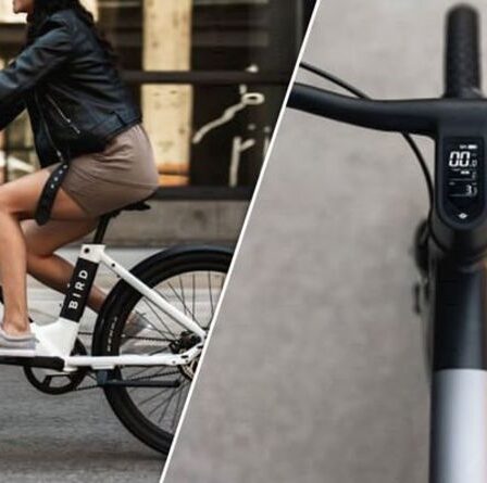 Lancement d'un nouveau vélo électrique époustouflant de la société de scooters électriques Bird à un prix abordable