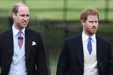 L'argument du prince Harry et du prince William à propos de Meghan a causé des «dommages irréparables»