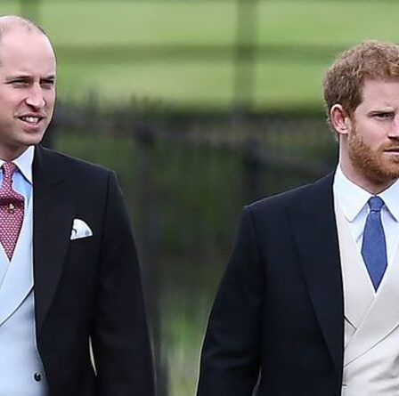 L'argument du prince Harry et du prince William à propos de Meghan a causé des «dommages irréparables»