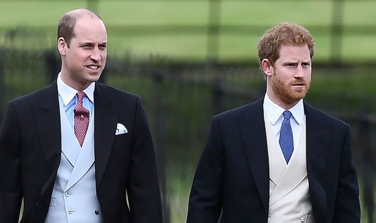 L'argument du prince Harry et du prince William à propos de Meghan a causé des «dommages irréparables»