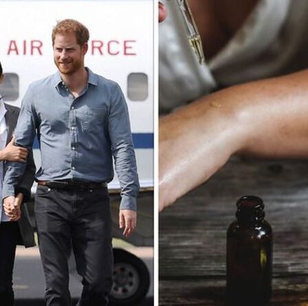 L'article de voyage de Meghan Markle sans lequel elle «ne peut pas vivre» lorsqu'elle vole – «pas très glamour»