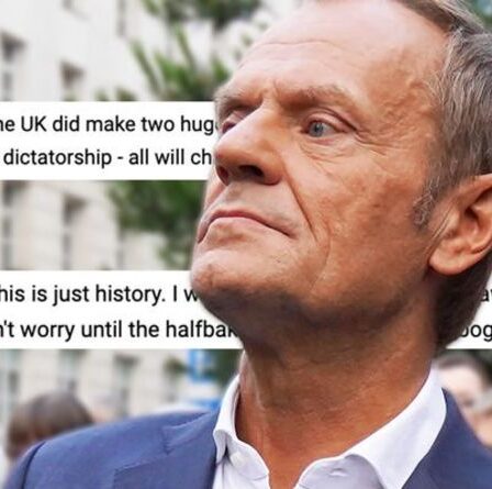 Le "Brexit n'est pas à blâmer" pour les pénuries alimentaires alors que les Britanniques fulminent contre les "dictateurs amers de l'UE"