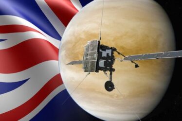 Le Royaume-Uni a salué la «superpuissance scientifique mondiale» alors que la sonde Solar Orbiter s'approche de Vénus pour un survol