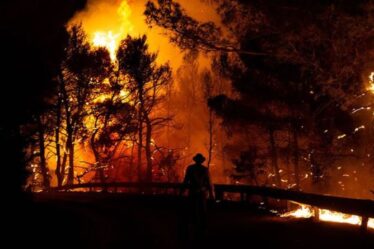 Le Royaume-Uni envoie des pompiers pour lutter contre les incendies de forêt en Grèce